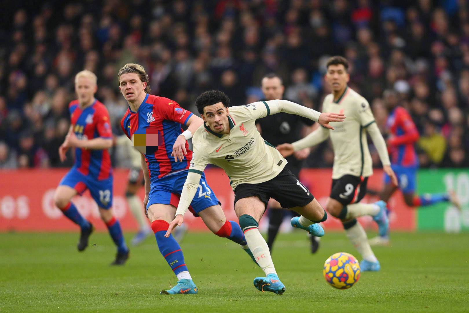 官方零售的 官方零售的